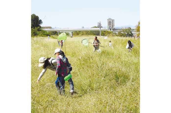 子ども記者も保護者もいっしょになって虫を探しました＝どれも10月21日、神奈川県川崎市
