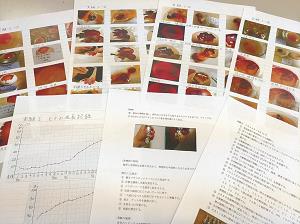 小さな命に生と死を学ぶ 1面の記事から 朝日中高生新聞 朝日学生新聞社 ジュニア朝日