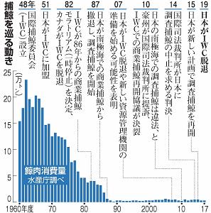 捕鯨を巡る動きの表画像